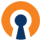 openvpn