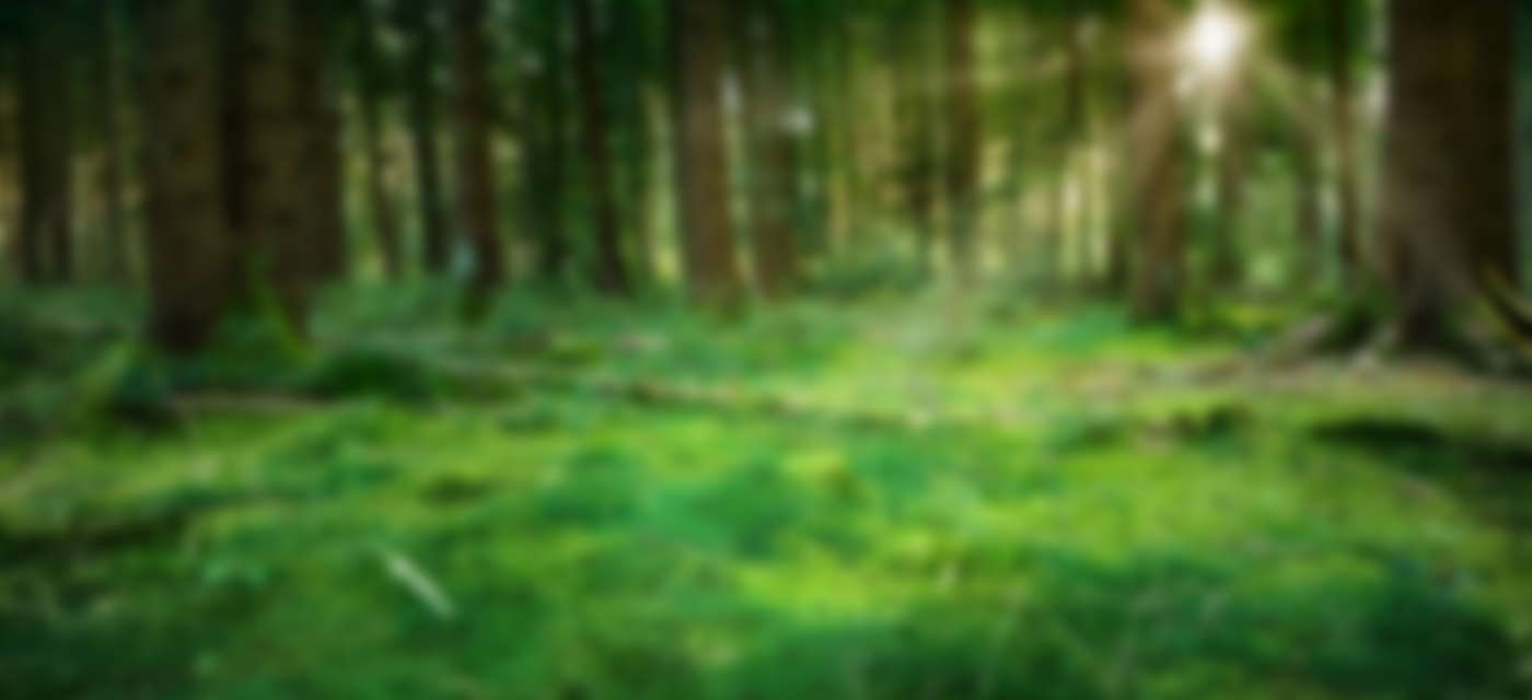 Baffled by the world of Bitcoin? This beginner's guide will tell you everything you need to know